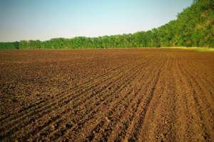 Под Львовом захватили 600 га сельскохозяйственной земли