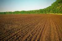 Под Львовом захватили 600 га сельскохозяйственной земли