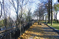 За мусор на территории Киев будет разрывать договоры аренды