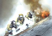 Крыше над правительством не дадут загореться за 224 тыс. грн.