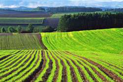 Фермерам подсказали, как сохранить землю