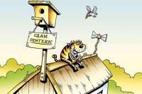 Сколько стоит аренда квартир в новостройках под Киевом