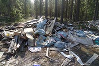 В Киеве за один день ликвидировали 26 свалок