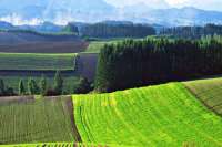 Двух бесплатных гектаров на всех не хватит