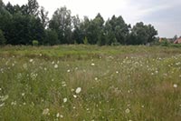 Кооперативам под сады отдали земли водного фонда