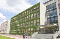 Бетон с мохом позволит городам дышать