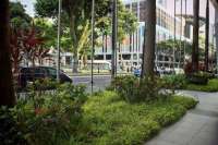 Как город-государство стал примером для создания зеленой планеты