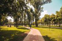 Зеленые зоны постепенно заполняют весь Киев